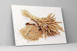 Obraz Farmársky motív klasy 1775